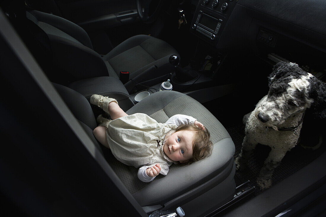 Baby girl and Portuguese Water Dog in car