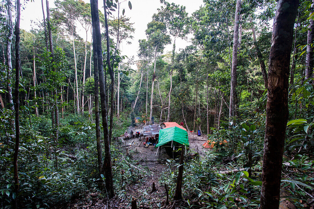 Camp in the Jungle, Acopan Tepui, La Gran Sabana, Venezuela