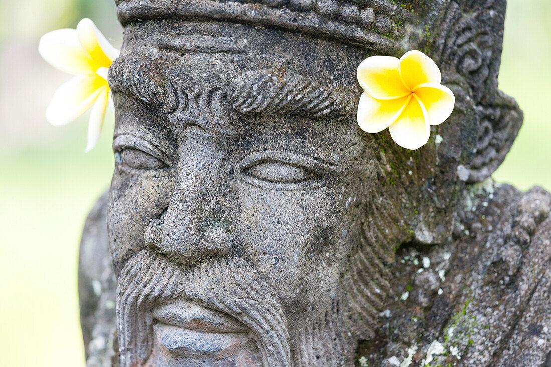 Frangipaniblüten an einer Steinfigur, Ubud, Gianyar, Bali, Indonesien
