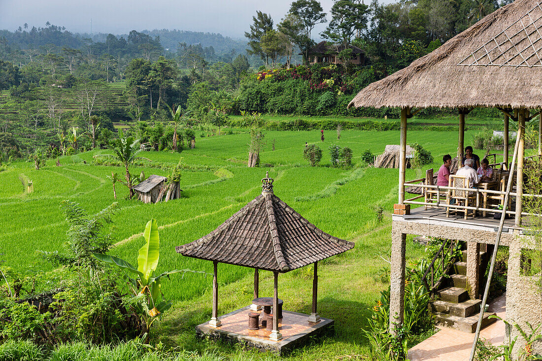 Restaurant mit Blick über Reisfelder, kleiner Reistempel, Iseh, Sidemen, Bali, Indonesien