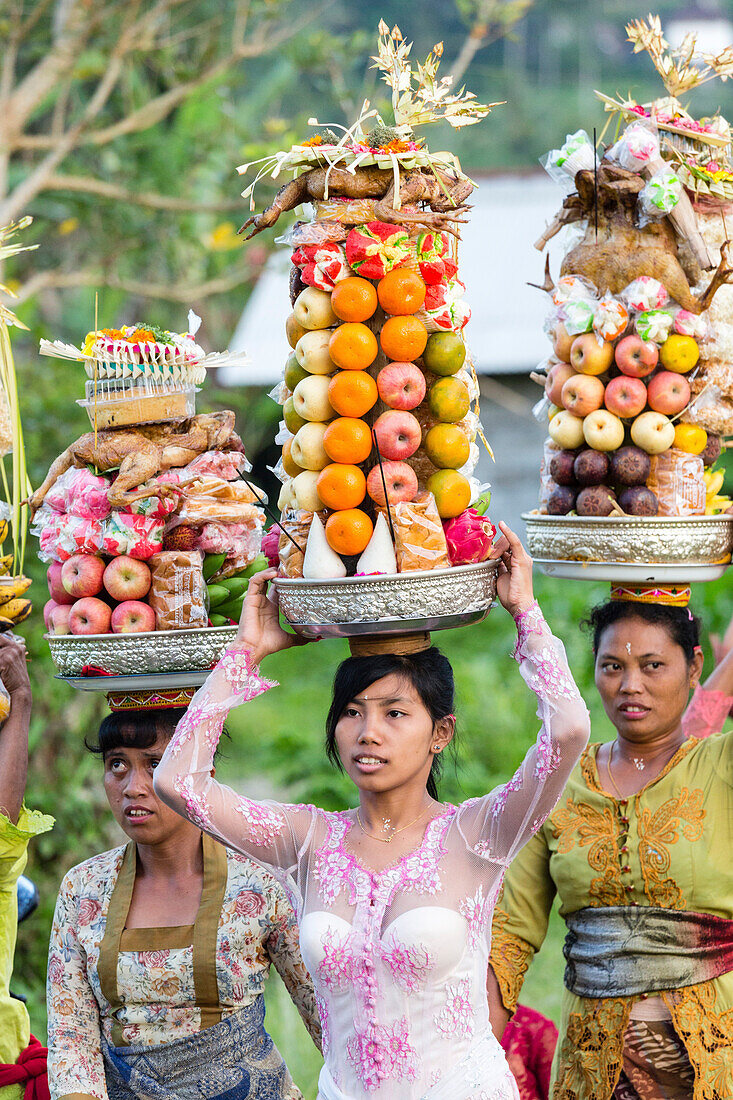 Frauen tragen Opfergaben auf dem Kopf, Odalan Tempelfest, Iseh, Sidemen, Karangasem, Bali, Indonesien