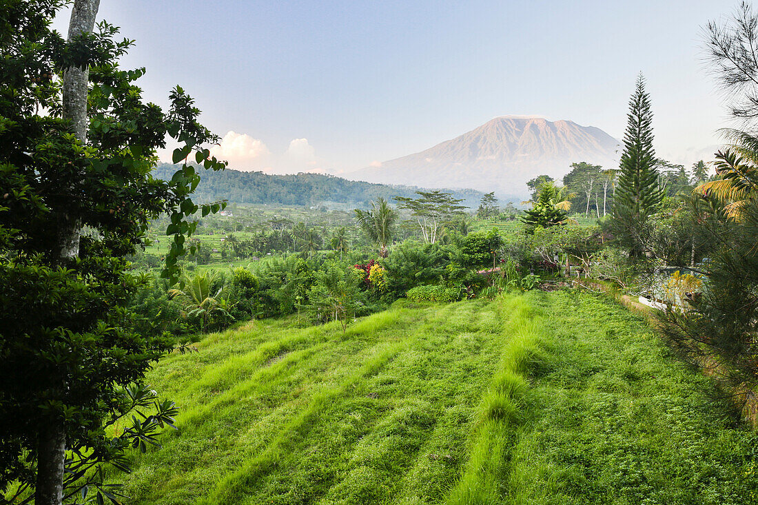 Tropische Landschaft mit Blick auf Gunung Agung, bei Sidemen, Bali, Indonesien