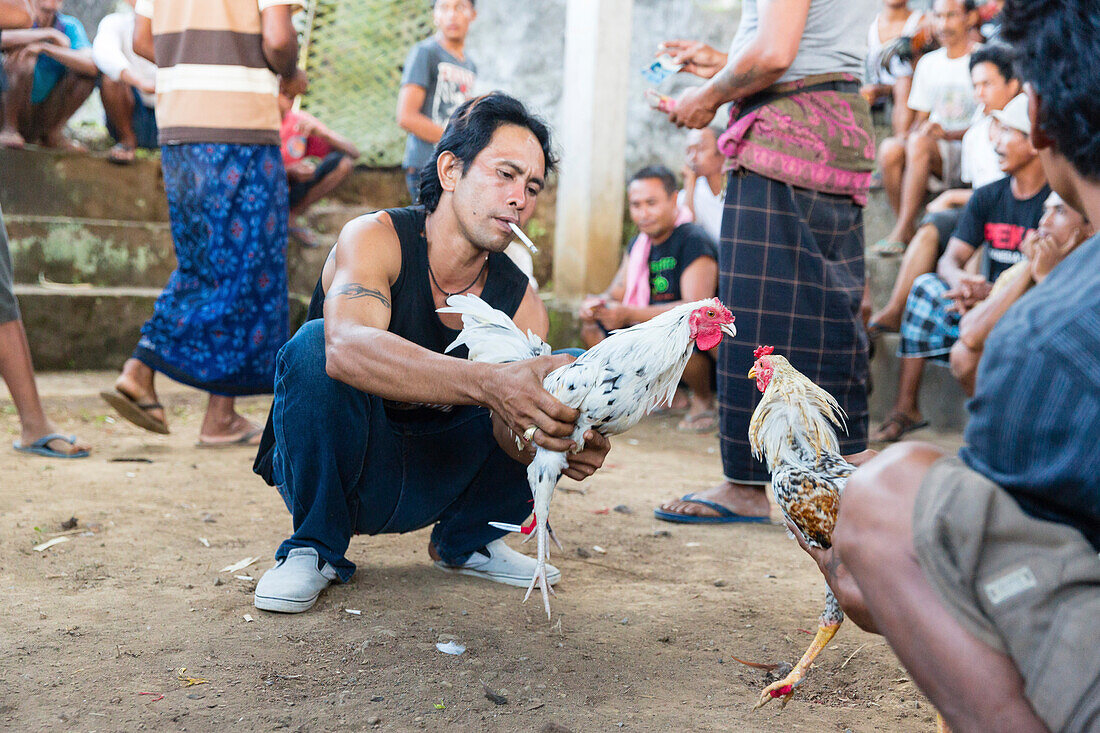 Cockfight during a religious festival, near Sidemen, Bali, Indonesia, Asia