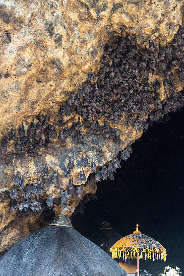 Odalan festival, Pura Goa Lawah (bat cave), Padangbai, Bali, Indonesia