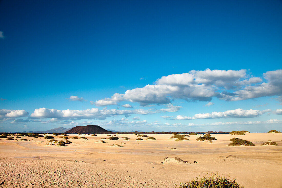 Dunes, El Jable, Corralejo, Fuerteventura, Canary Islands, Spain