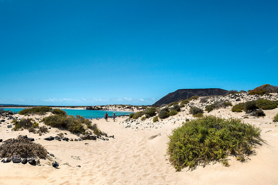 Beach, Playa de la Concha, Lobos island, Fuerteventura, Canary Islands, Spain