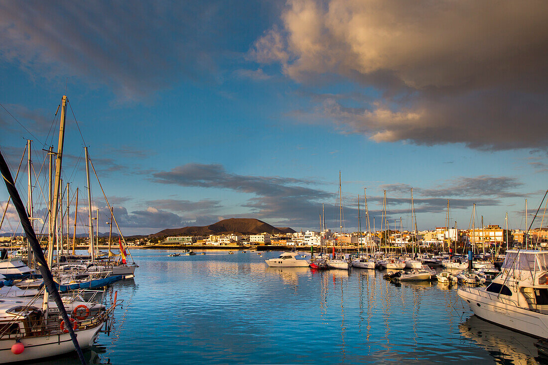 View of the Harbour, Corralejo, Fuerteventura, Canary Islands, Spain