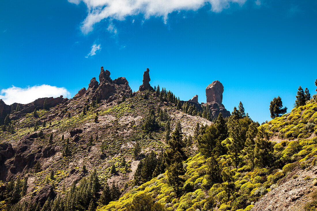 Roque Nublo, Gran Canaria, Kanarische Inseln, Spanien