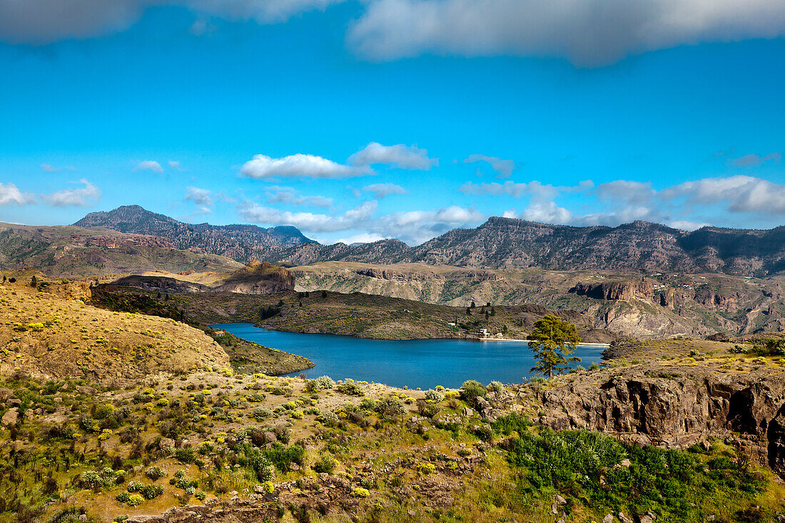 Water reservoir, Presa de las Ninas, Gran Canaria, Canary Islands, Spain