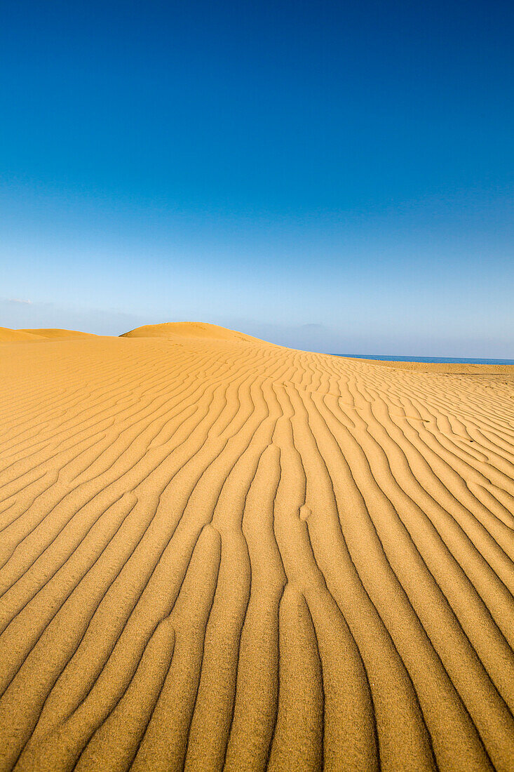 Dunes of Maspalomas, Gran Canaria, Canary Islands, Spain