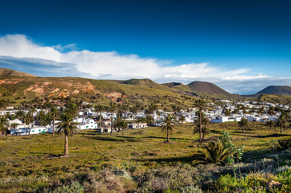 View towards the village Haria,  Lanzarote, Canary Islands, Spain