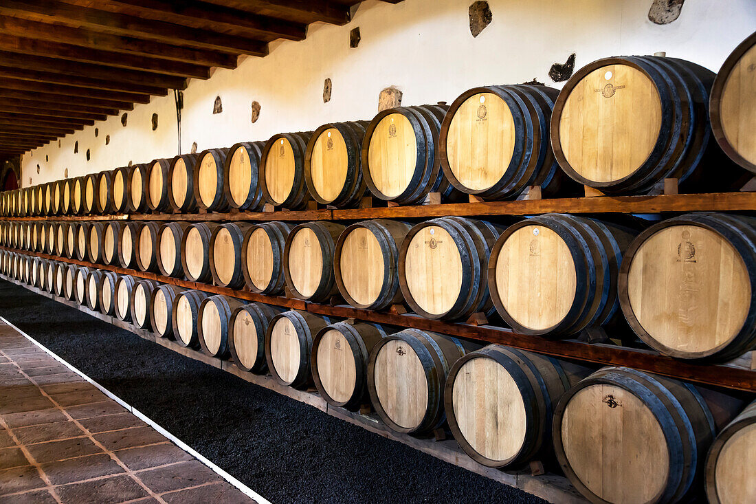 Bodegas Rubicon, Weinanbaugebiet La Geria, Lanzarote, Kanarische Inseln, Spanien