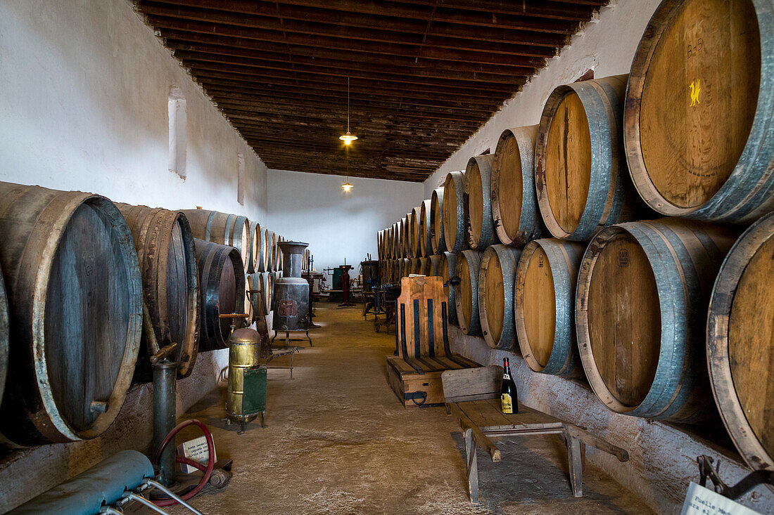 Wine barrels, museum El Grifo, wine region La Geria, Lanzarote, Canary Islands, Spain