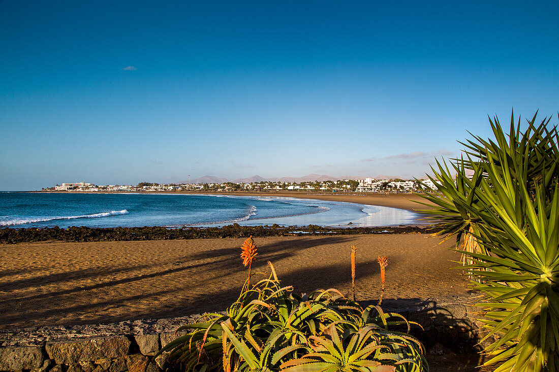 Strand, Playa de los Pocillos, Puerto del Carmen, Lanzarote, Kanarische Inseln, Spanien
