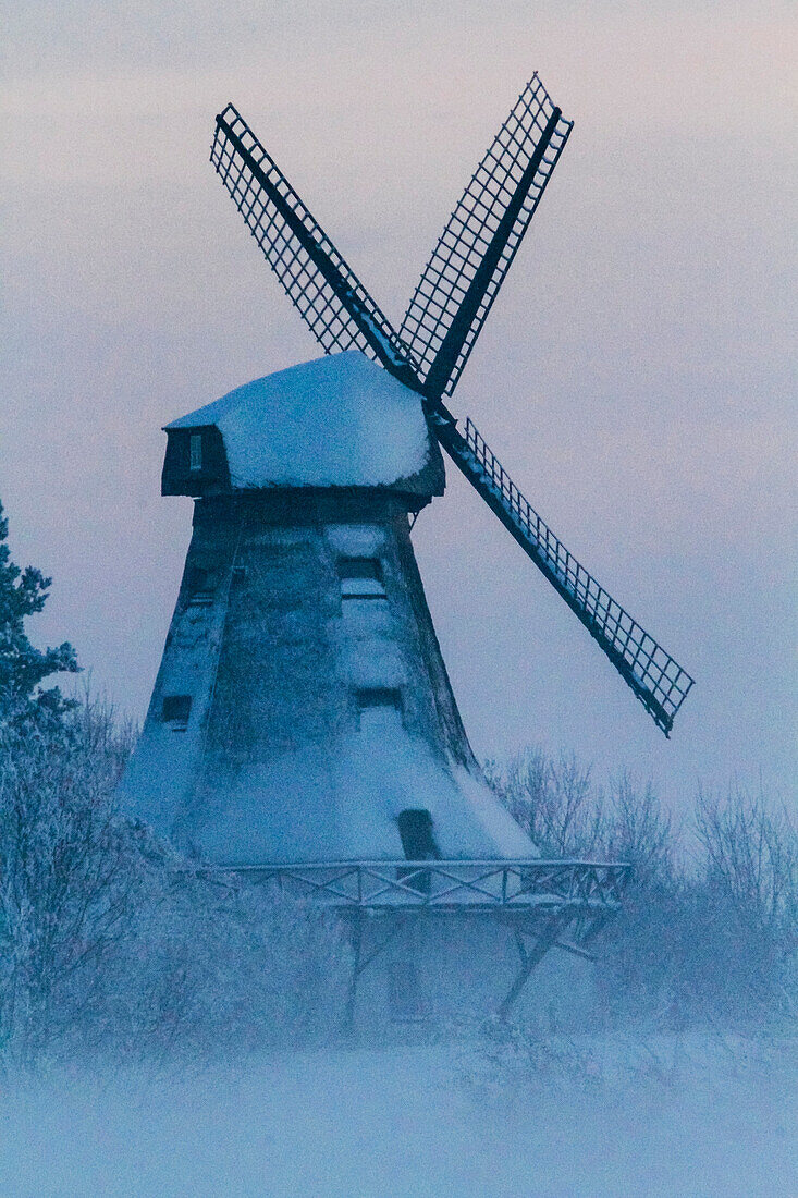 Windmill in a winter landscape, Klein Barkau, Ploen, Schleswig-Holstein, Germany