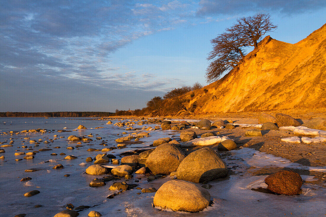 Nature Reserve Devin peninsula, Strelasund, Baltic sea, Stralsund, Mecklenburg-Vorpommern, Germany