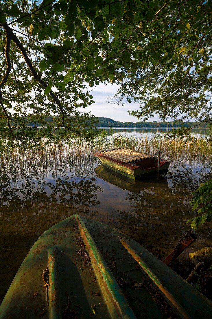 Breiter Luzin, Feldberger Seenlandschaft, Mecklenburgische Seenplatte, Mecklenburg-Vorpommern, Germany