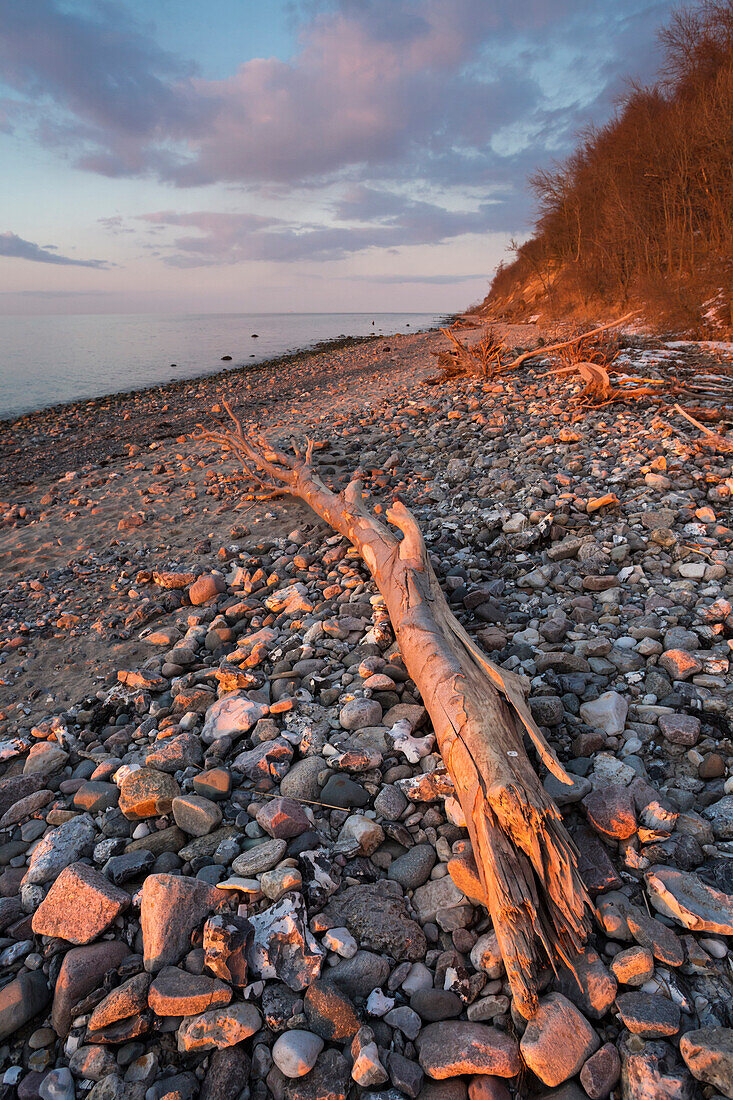 Kieselsteine am Strand, Surendorf, Eckernförder Bucht, Ostsee, Rendsburg-Eckernförde, Schleswig-Holstein, Deutschland