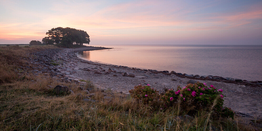 Coastal landscape at Buelk, Kiel Fjord, Baltic Sea, Strande, Kiel, Schleswig-Holstein, Germany