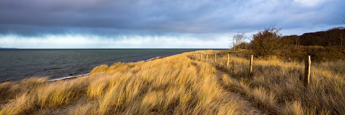 Eckernförder Bucht, Noer, Rendsburg-Eckernförde, Schleswig-Holstein, Deutschland