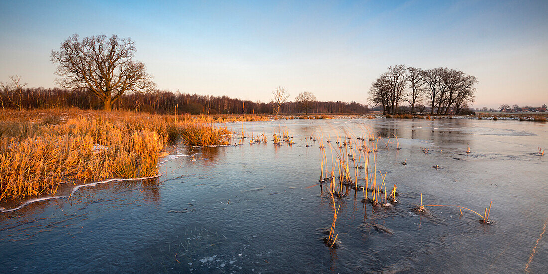 Katenhofer moor, Daenisch Wohld, Rendsburg-Eckernfoerde, Schleswig-holstein, Germany