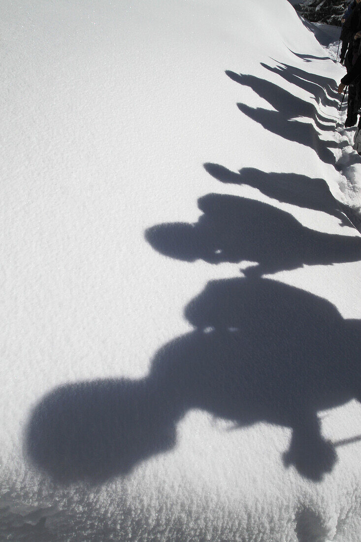 Shadows of hikers against a blanket of snow