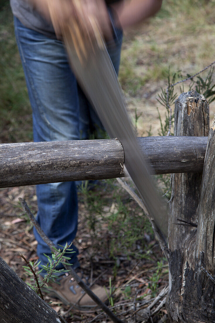 Man cutting log with saw