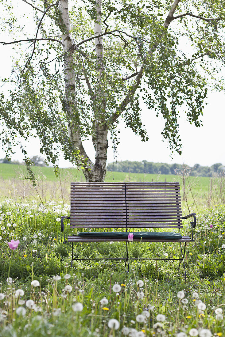 A wooden bench in a field