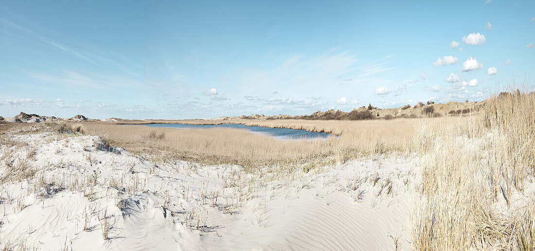 Landscape in Schleswig-Holstein, Germany