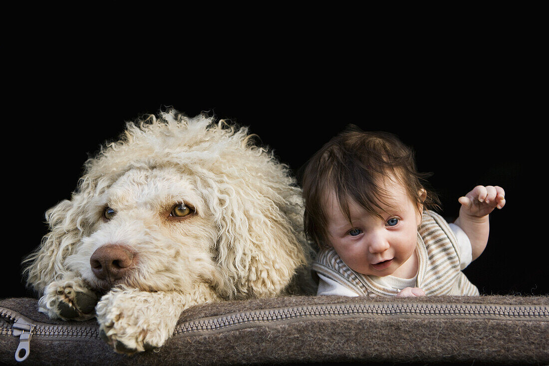 A dog and baby lying on their stomachs side by side