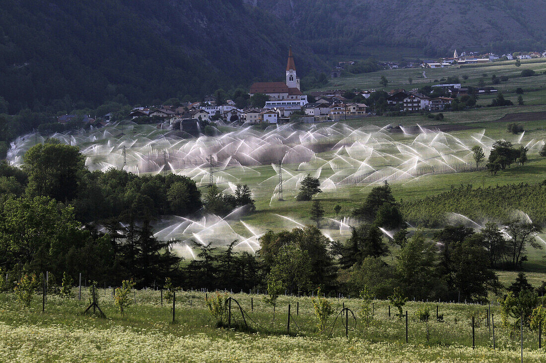 Sprinklers in Vinschgau valley, South Tirol, Italy