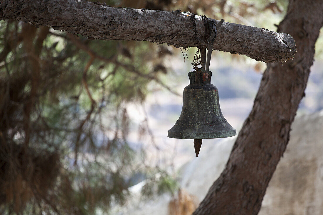 Bell hanging from tree