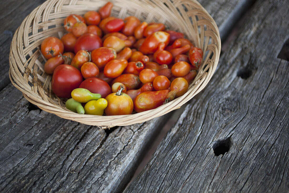 Basket of freshly picked tomatoes on old wooden table
