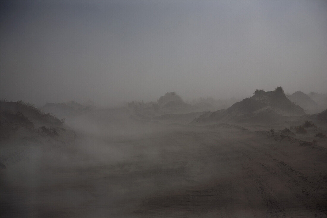 View of fog across the Atacama Desert, Chile