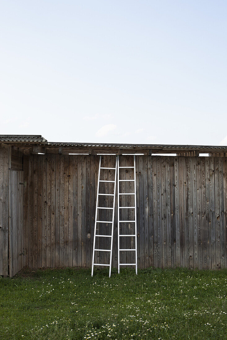 Two ladders leaning against a rustic wooden structure