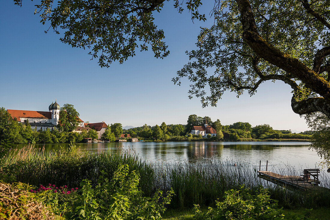 Seeoner See und Kloster Seeon, Seeon-Seebruck, Chiemgau, Oberbayern, Bayern, Deutschland