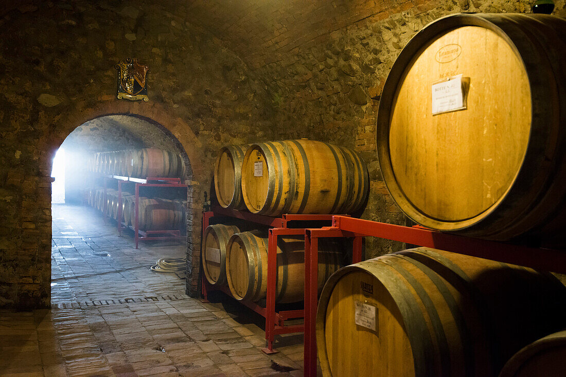 Argiano vinery, near Montalcino, province of Siena, Tuscany, Italy