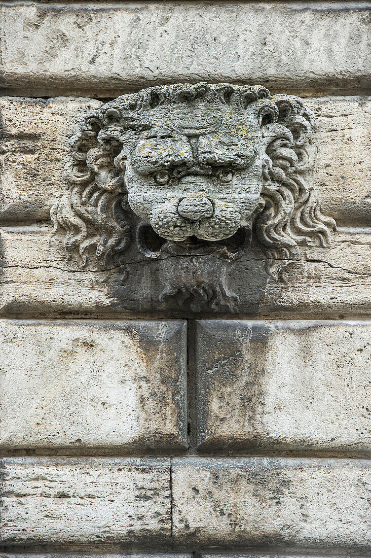 Löwenkopf an der Mauer eines Palazzo, Montepulciano, Provinz Siena, Toskana, Italien