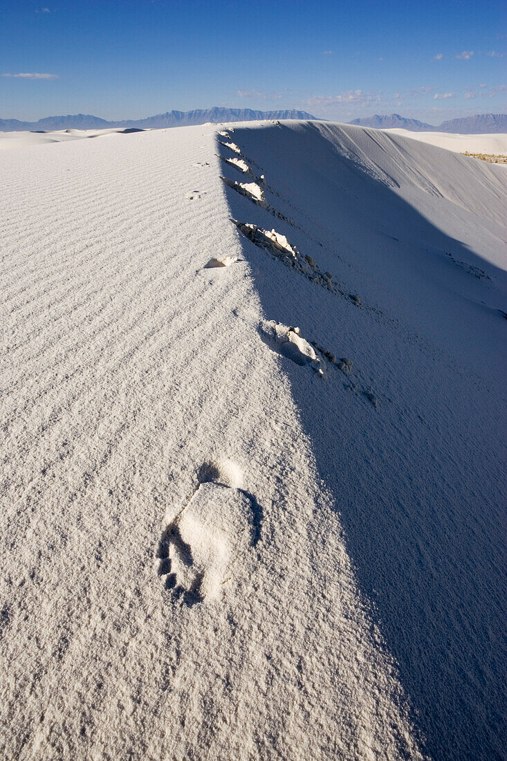 Dune with footprints, light and shadow, gypsum dune field, White Sands National Monument, New Mexico, USA