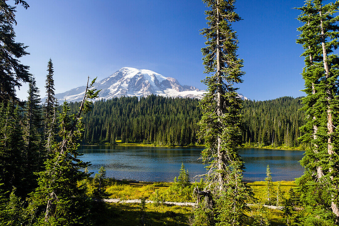 Reflection Lakes mit Mount Rainier, Mount Rainier Nationalpark, Washington, USA