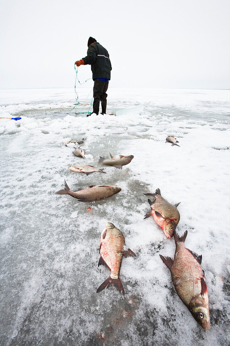 Eisfischer auf Usedom, Mecklenburg-Vorpommern, Deutschland