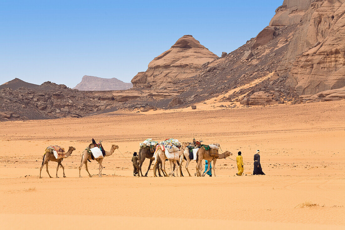 Kamel Karawane in der libyschen Wüste, Dromedare, Camelus dromedarius, Akakus Gebirge, Libyen, Sahara, Nordafrika