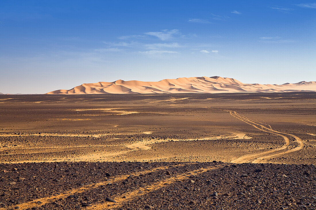 Dunes in the Stony Desert, car track, Black Desert, Libya, Africa