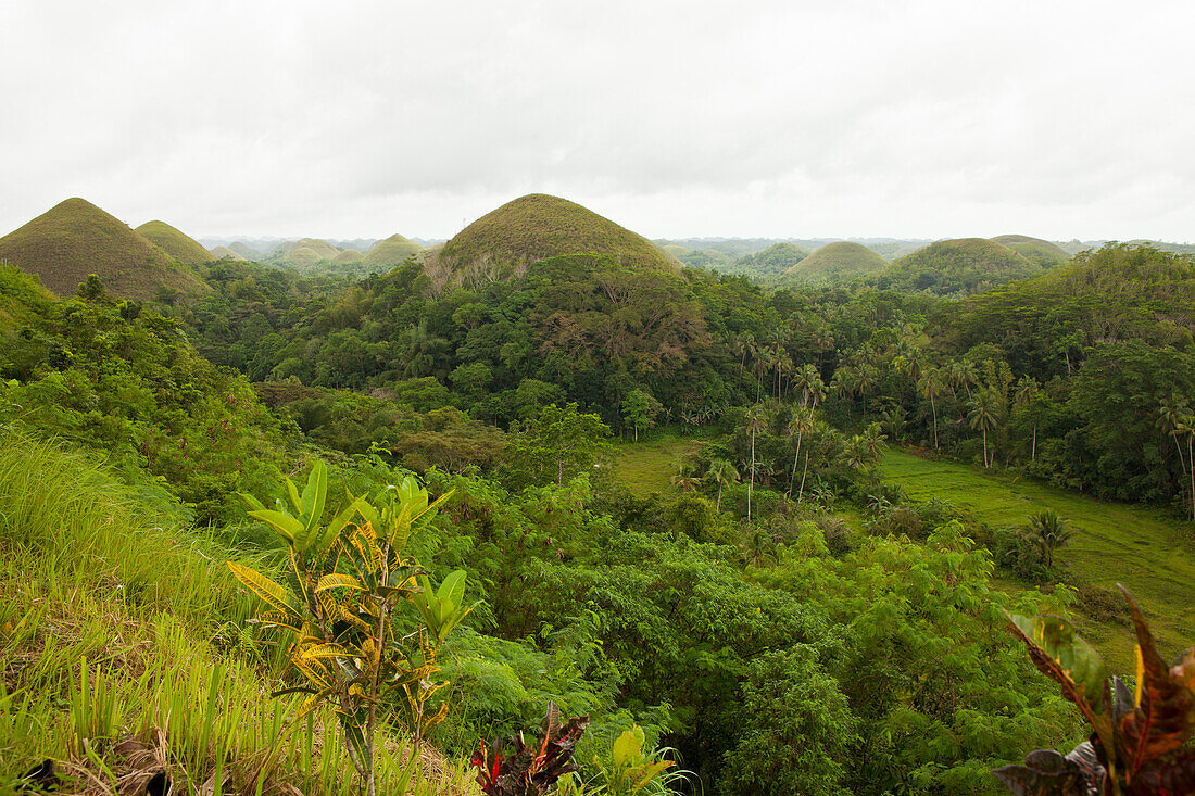 Chocolate Hills, Bohol Island, Visayas-Islands, Philippines, Asia