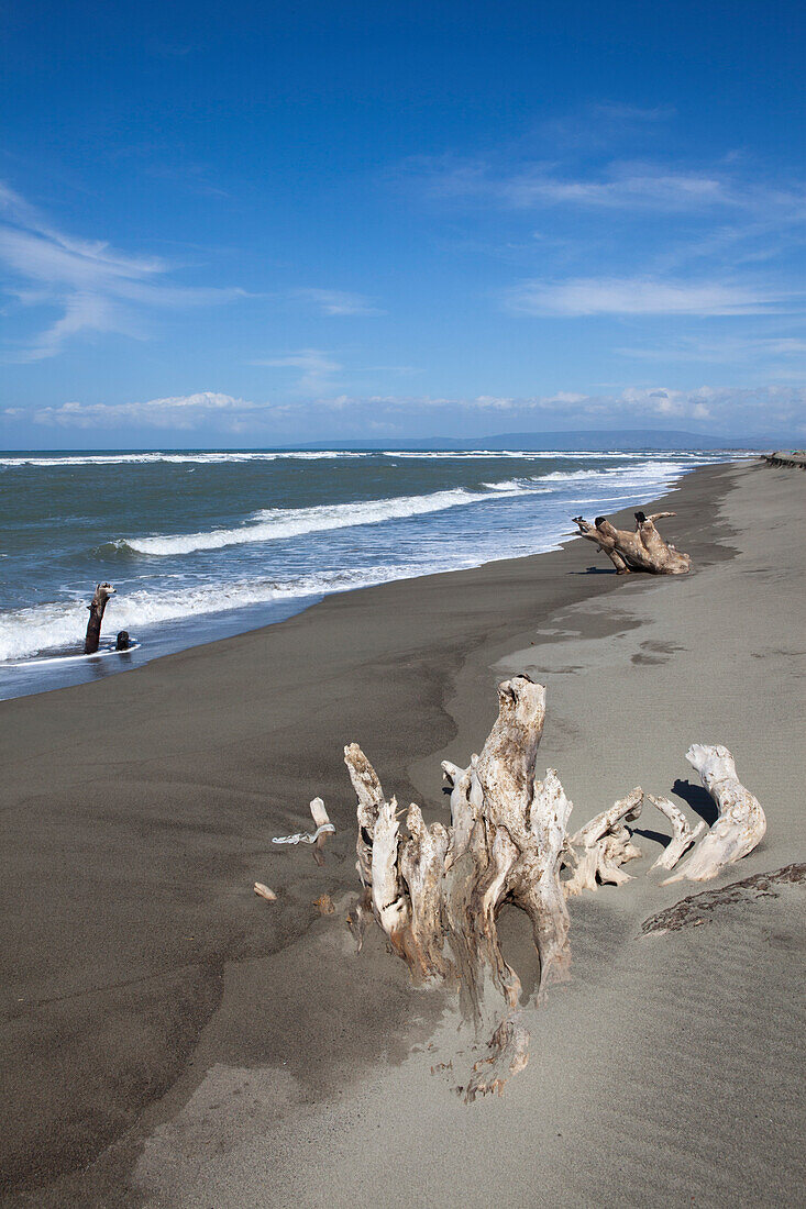 Driftwood on the beach of La Paz bei Laoag City, capital of Ilocos Norte province on the main island Luzon, Philippines, Asia