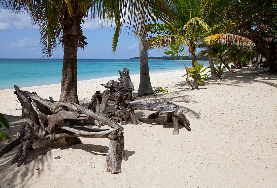 Driftwood and palm trees on the tropical beach Saud Beach in Pagudpud, Ilocos Norte province on the main island Luzon, Philippines, Asia