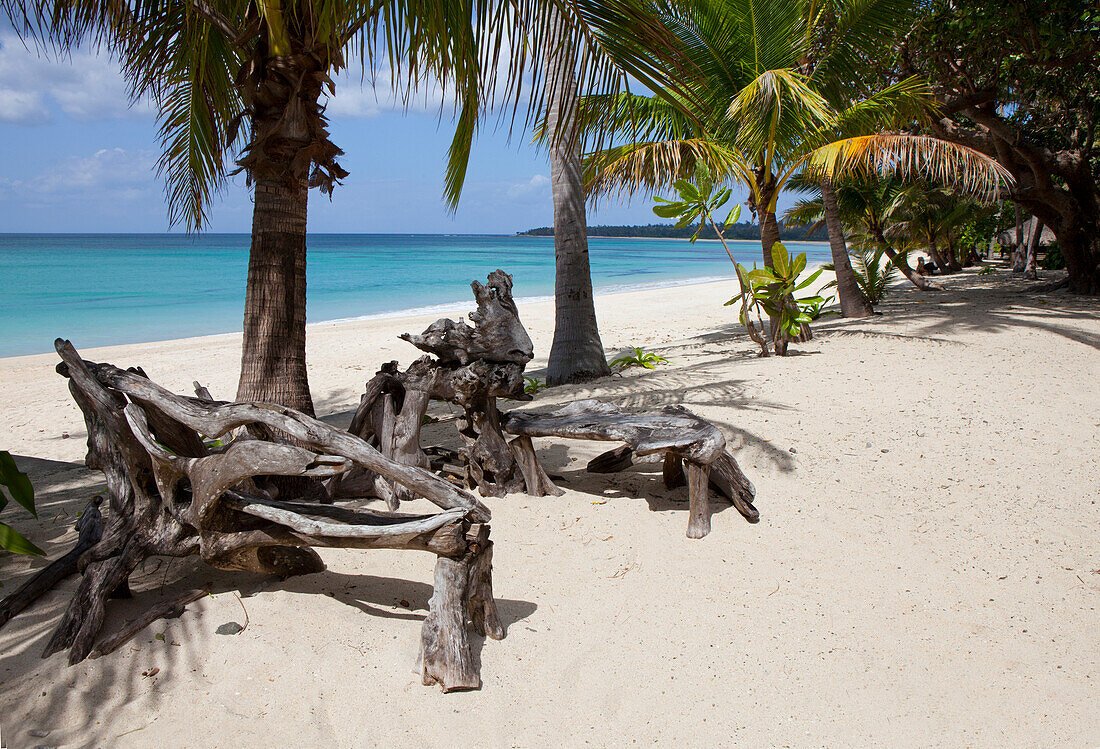 Treibholz und Palmen, Tropischer Traumstrand Saud Beach in Pagudpud, Provinz Ilocos Norte  auf der Hauptinsel Luzon im Inselstaat der Philippinen, Asien