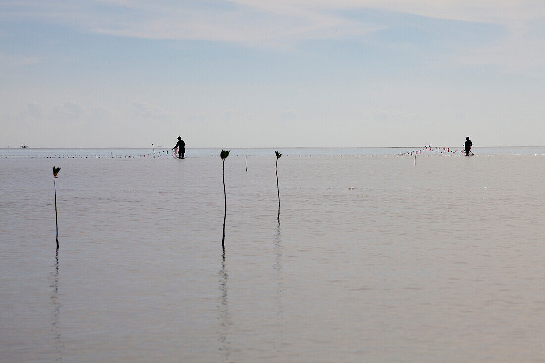 Fischer in der Bucht Honda Bay bei Puerto Princesa, Insel Palawan im Inselstaat der Philippinen, Asien