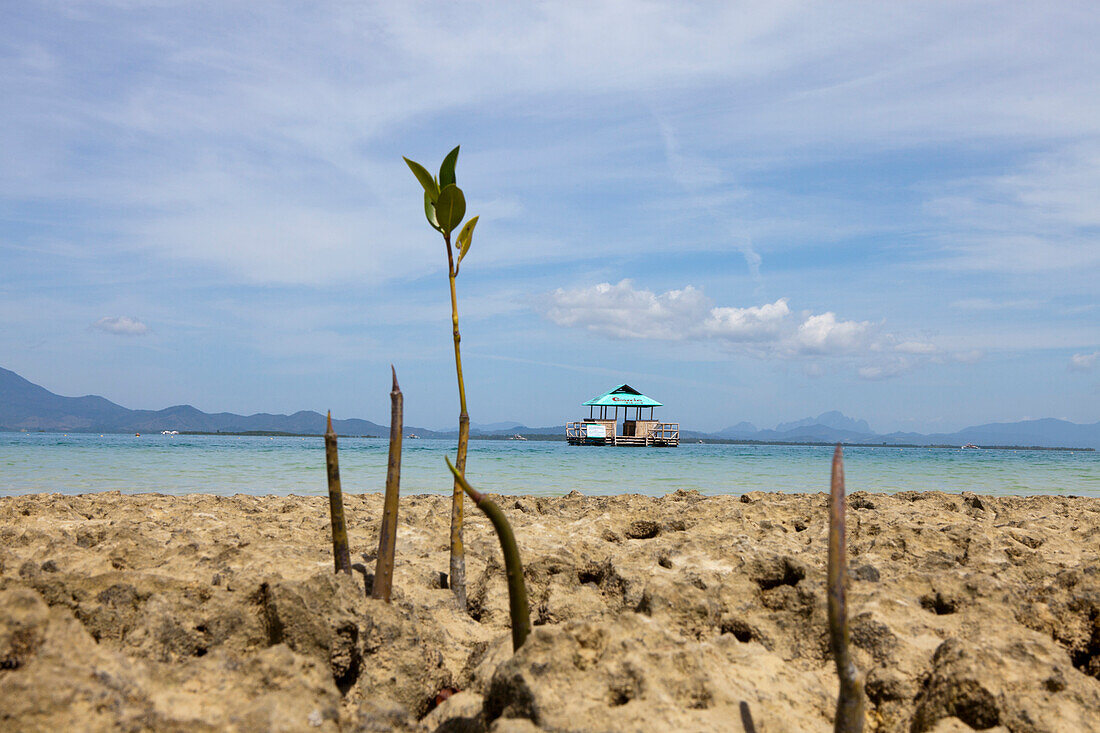 Cowrie Island at Honda Bay near Puerto Princesa, Palawan Island, Philippines, Asia