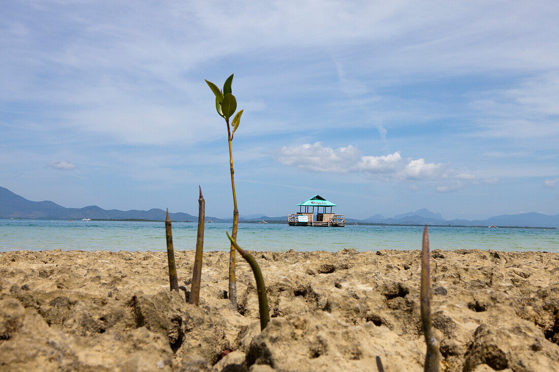 Insel Cowrie in der Bucht Honda Bay bei Puerto Princesa, Insel Palawan im Inselstaat der Philippinen, Asien